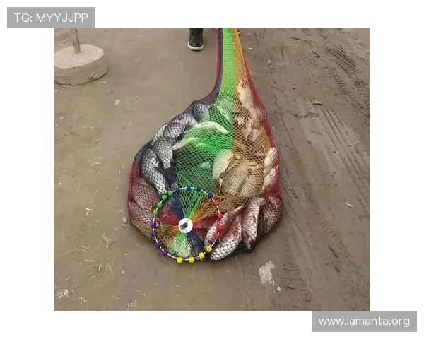 K8捕鱼网投用户评价与口碑分析,选择优质平台的实用建议